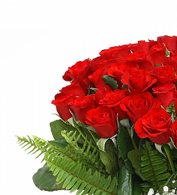 Vazoda 51 Kırmızı Gül