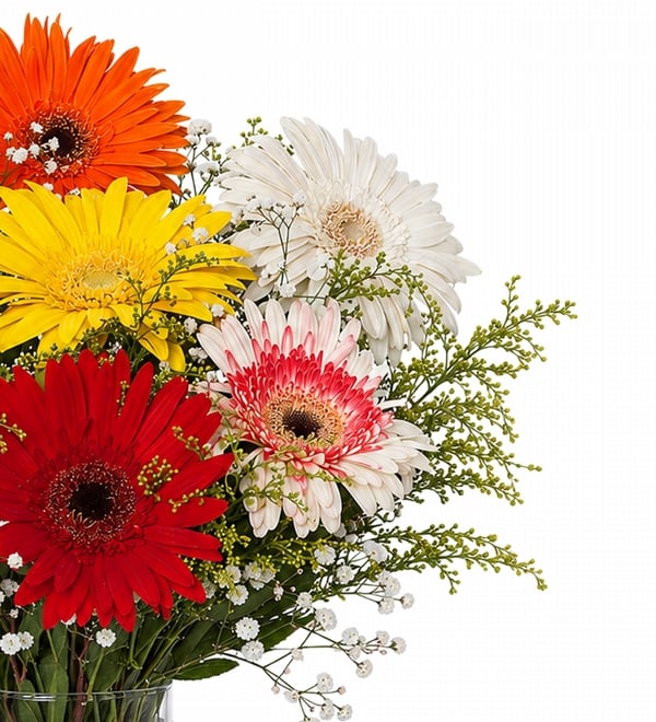 Vazoda Gerberalar