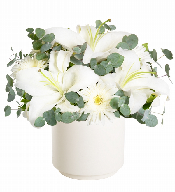Polimer Saksıda Lilyum ve Gerbera Aranjmanı