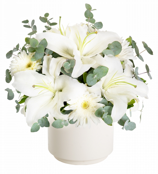 Polimer Saksıda Lilyum ve Gerbera Aranjmanı