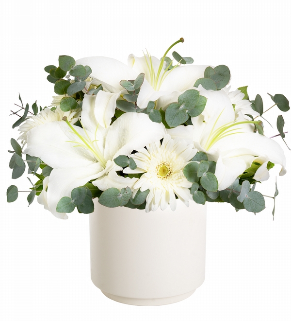 Polimer Saksıda Lilyum ve Gerbera Aranjmanı