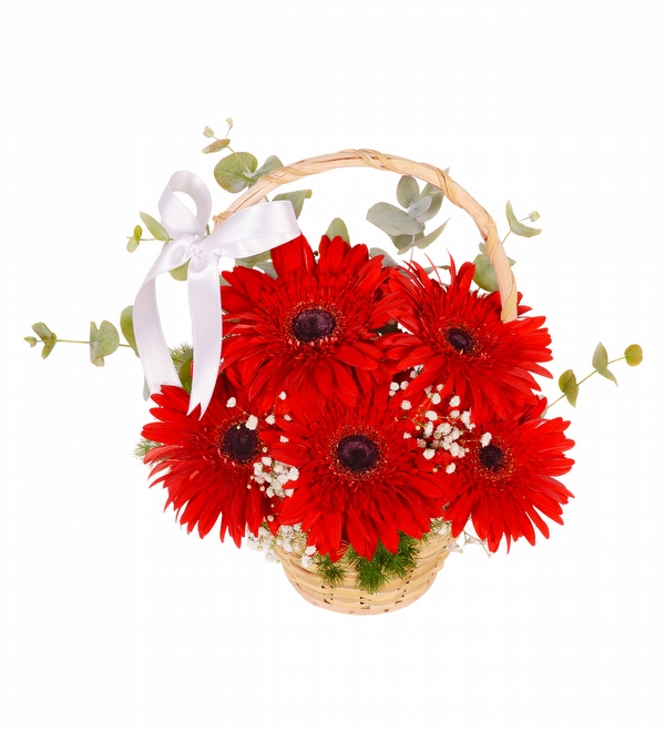 Kırmızı Gerbera Sepeti