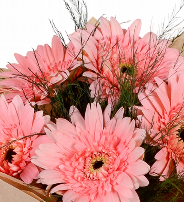5 Adet Pembe Gerbera Demeti
