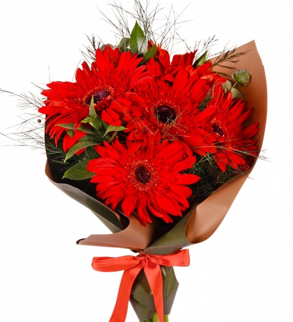 5 Adet Kırmızı Gerbera Buketi