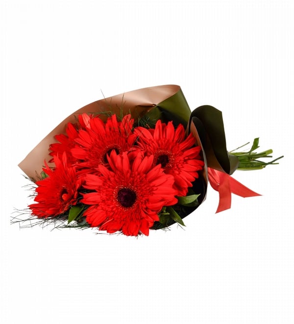 5 Adet Kırmızı Gerbera Buketi
