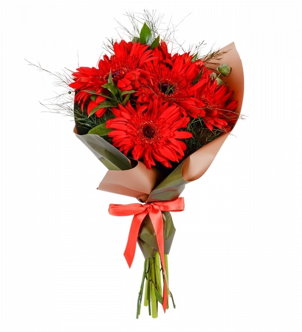 5 Adet Kırmızı Gerbera Buketi