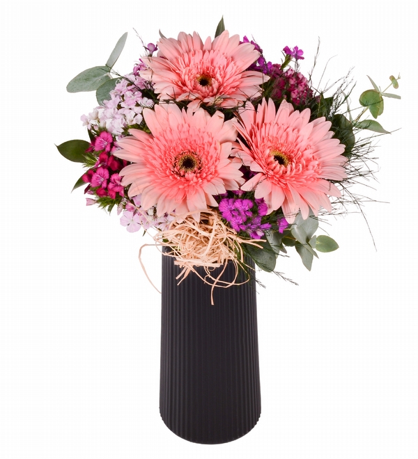 Polimer Vazoda Pembe Gerbera ve Hüsnüyusuf
