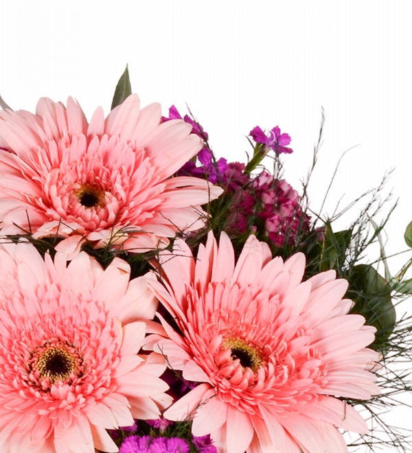 Polimer Vazoda Pembe Gerbera ve Hüsnüyusuf