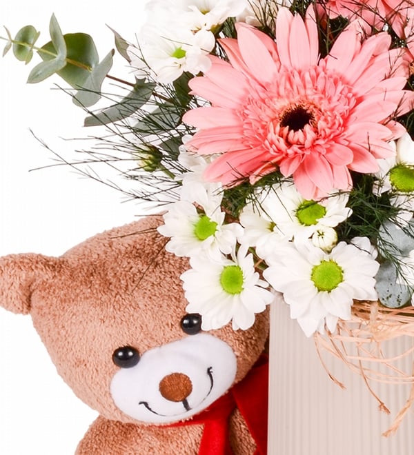 Bej Vazoda Papatya Gerbera ve Peluş Ayıcık