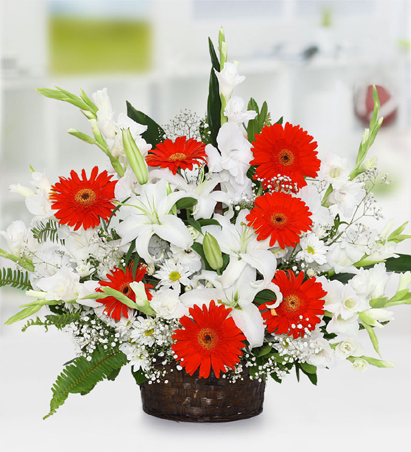 Kırmızı Gerbera Sepeti