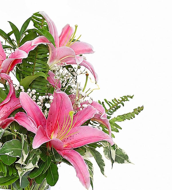 Pembe Lilyumlar