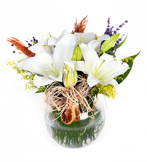 Royal White Lilyumlar