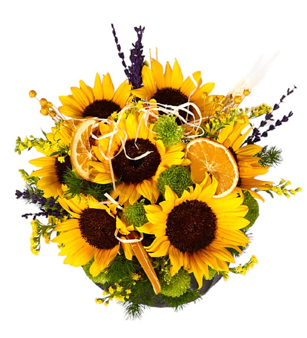 Smiling Sun Ayçiçekleri Tasarımı