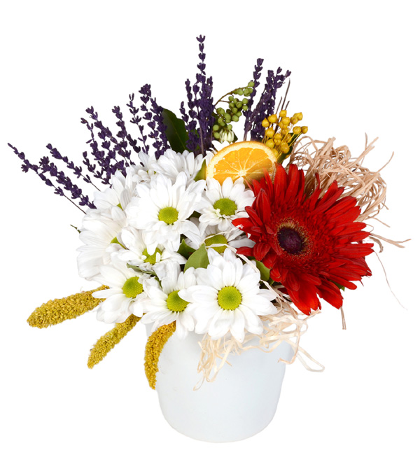 Spring Romance Vazoda Gerbera ve Papatyalar