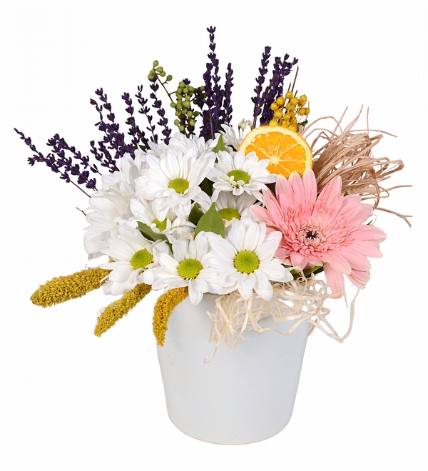 Pink Dream Vazoda Pembe Gerbera ve Papatyalar