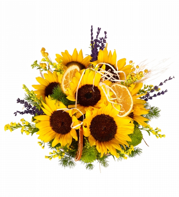 Daylight Sunflower Camda Sempatik Sarı Ayçiçekleri