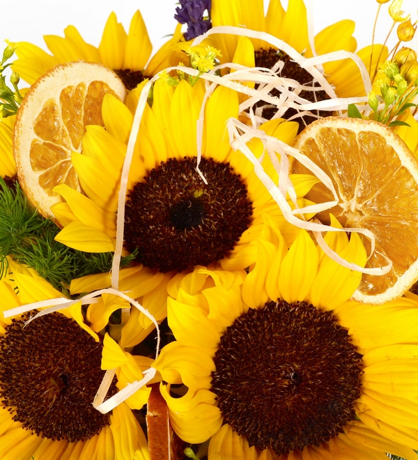 Daylight Sunflower Camda Sempatik Sarı Ayçiçekleri