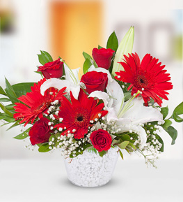 Gül Lilyum Gerbera