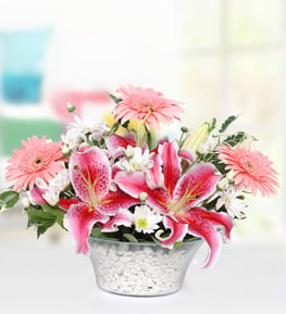 Lilyum Gerbera Papatya