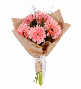 5 Adet Pembe Gerbera Demeti