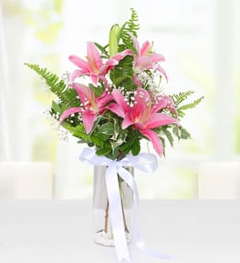 Pembe Lilyumlar