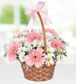 Sepette Gerbera ve Krizantem
