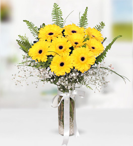 Sarı Gerbera Vazosu