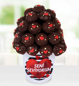 Çikolata Rüyası Kurabiye
