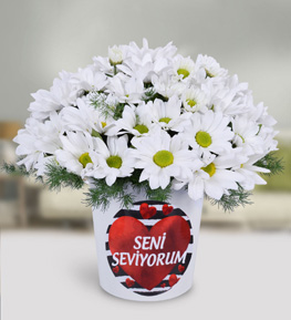 Beyaz Papatya Aranjmanı
