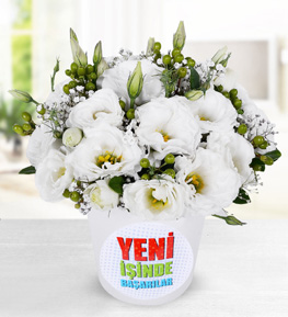 Yeni İş Stickerlı Lisyantuslar