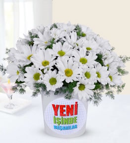 Yeni İşinde Başarılar Stickerlı Papatyalar