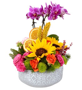 My Flower Mini Mor Orkide Ayçiçeği Çardak Gül
