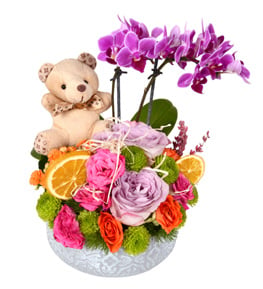 Most Beautiful Mini Orkide Çardak Güller ve Ayıcık