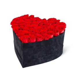 Velvet Flame Gül Kutusu