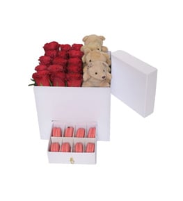 Ivory Glow Gül Macaron Ayıcık