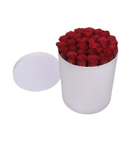 Angel Elegance Kutuda Kırmızı Güller
