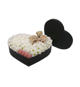 Love Eclipse Papatya Ayıcık Macaron