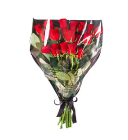 Red Elegance Kırmızı Güller