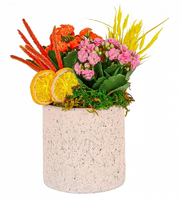 Gri Beton Saks�da Renkli Kalan�olar