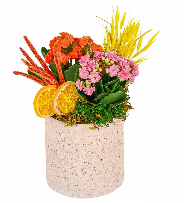 Gri Beton Saks�da Renkli Kalan�olar