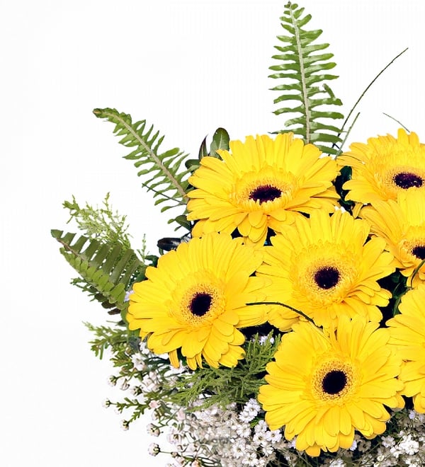 Sar� Gerbera Vazosu