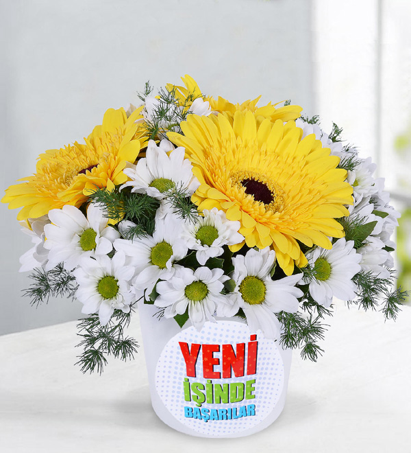 Yeni �� Stickerl� Gerbera ve Papatyalar