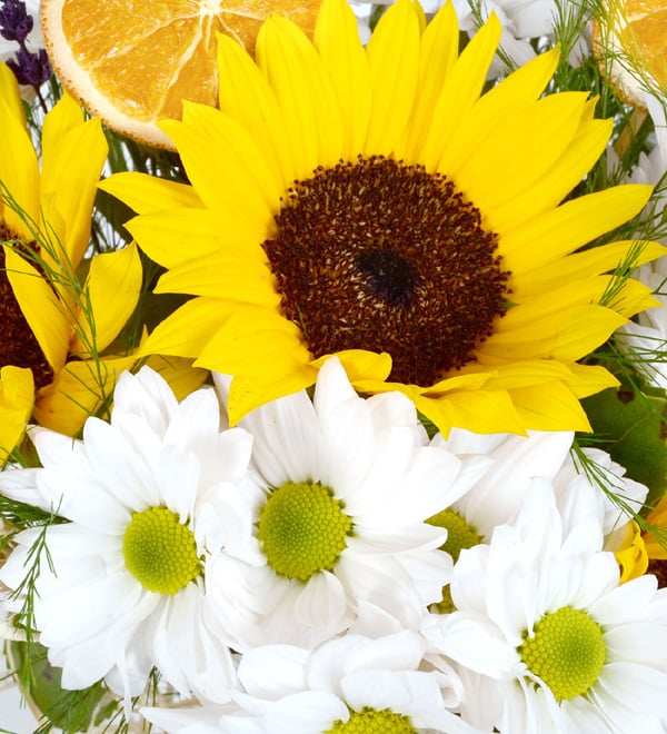 Warm Love Ay�i�ekleri ve Papatyalar