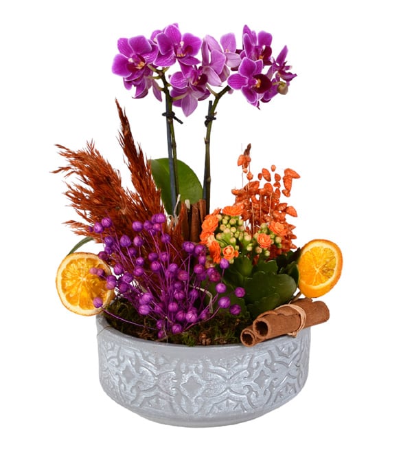 Pure Purple Mini Orkide ve Turuncu Kalan�o