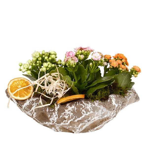 Gondola Garden Renkli Kalan�olar