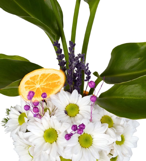My Tree Saks�da Starli�e ve Papatya