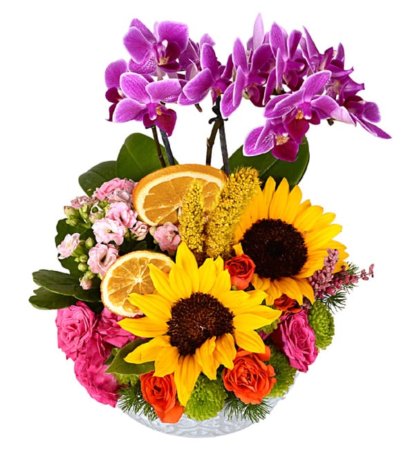 My Flower Mini Mor Orkide Ay�i�e�i �ardak G�l