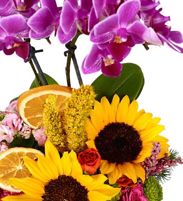 My Flower Mini Mor Orkide Ay�i�e�i �ardak G�l