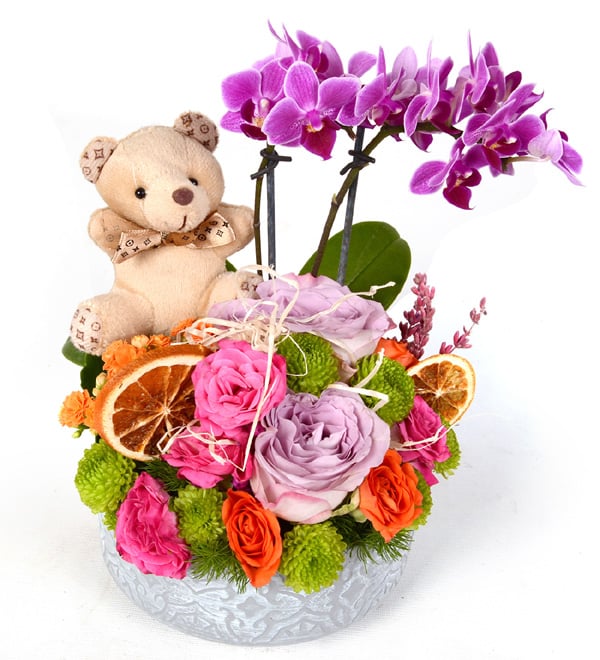 Most Beautiful Mini Orkide �ardak G�ller ve Ay�c�k