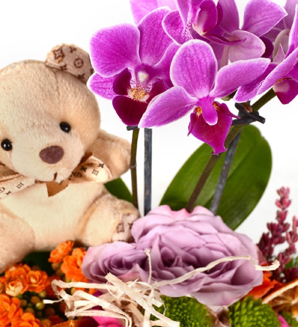 Most Beautiful Mini Orkide �ardak G�ller ve Ay�c�k